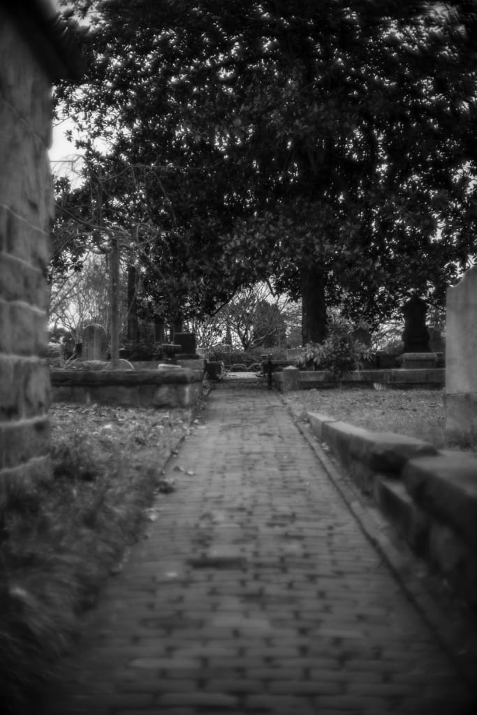 Canon Dream Lens 50mm Oakland Cemetery