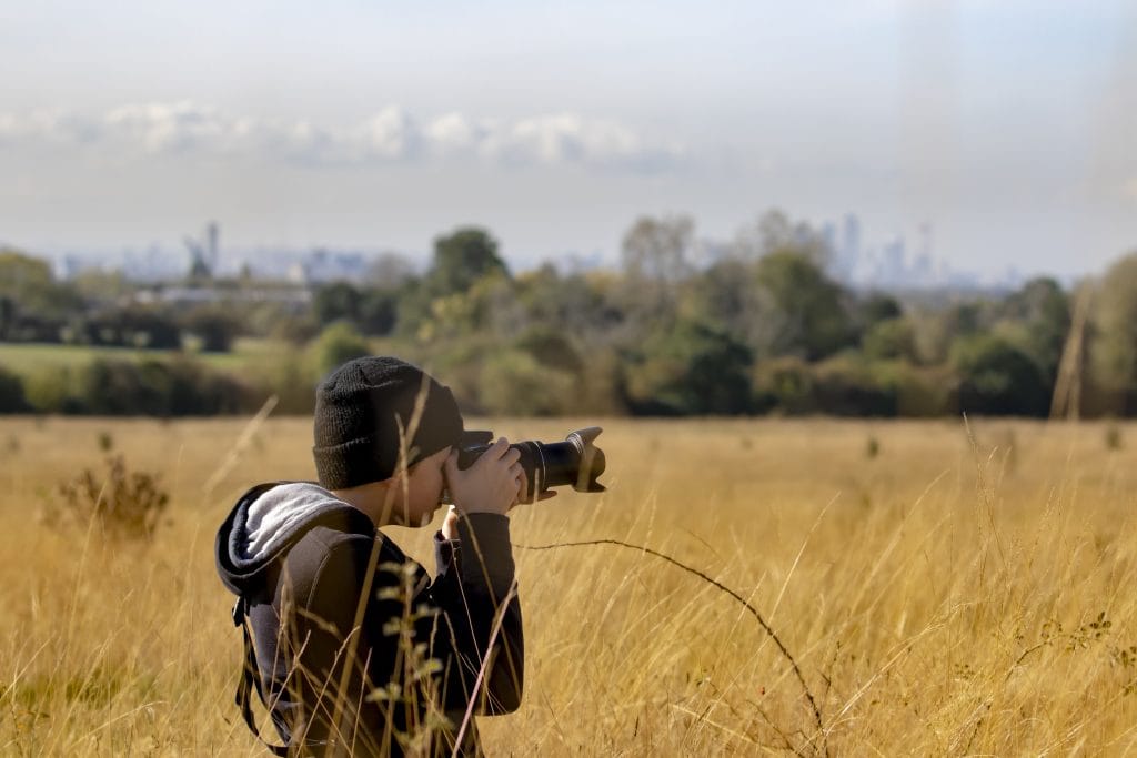 Wildlife photographer taking pictures in field